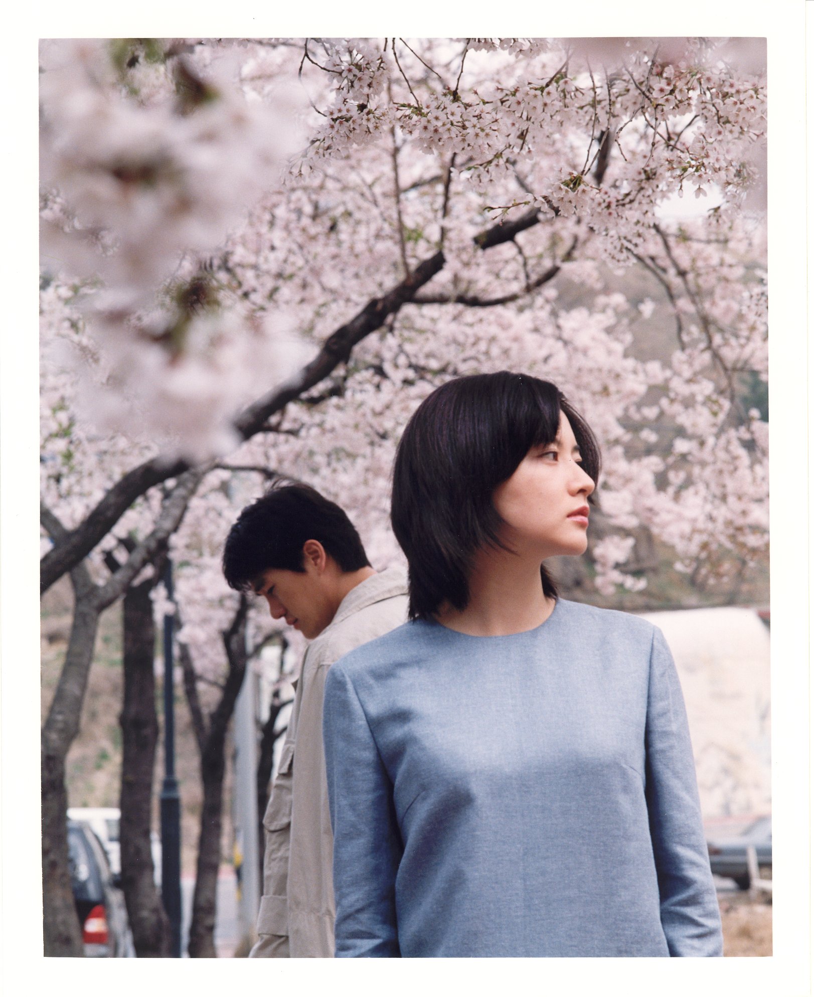 春逝剧照的剧照