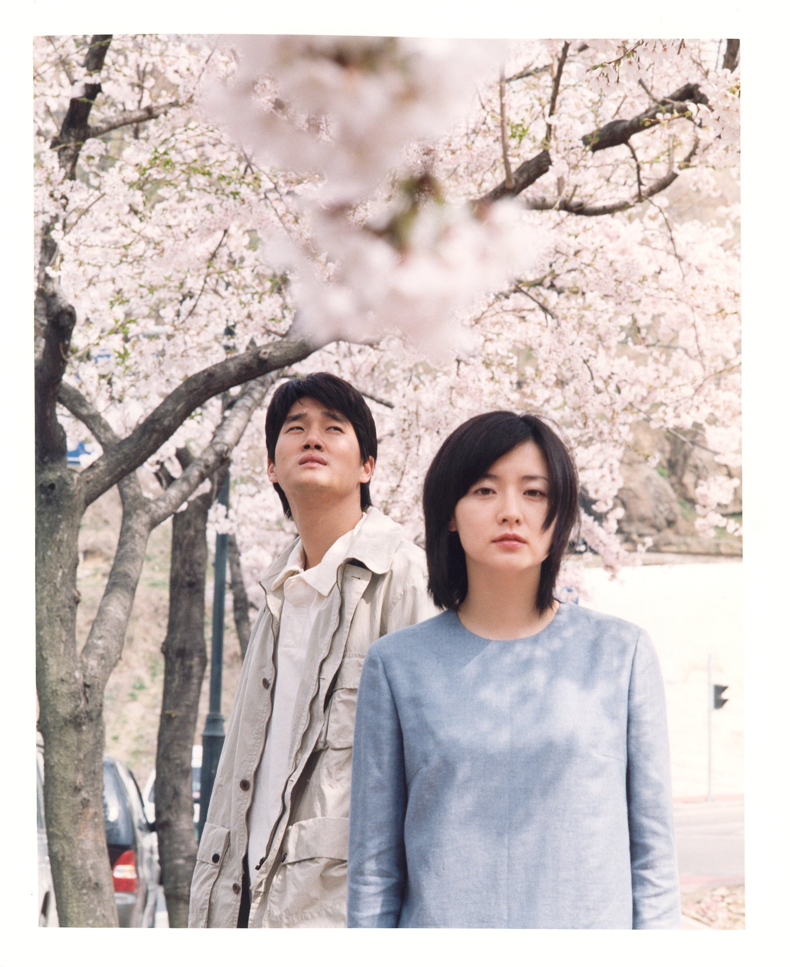 春逝剧照的剧照