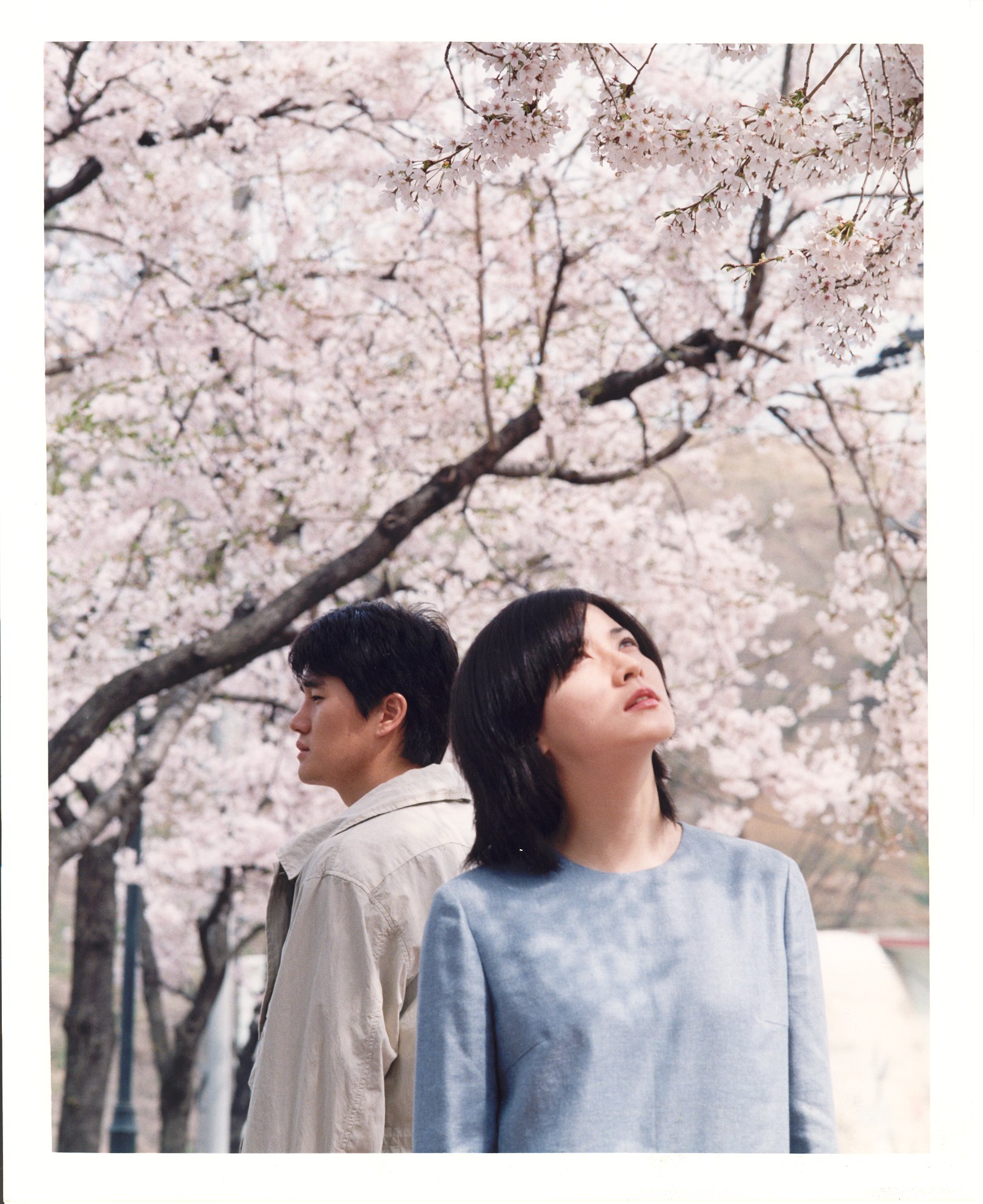 春逝剧照的剧照