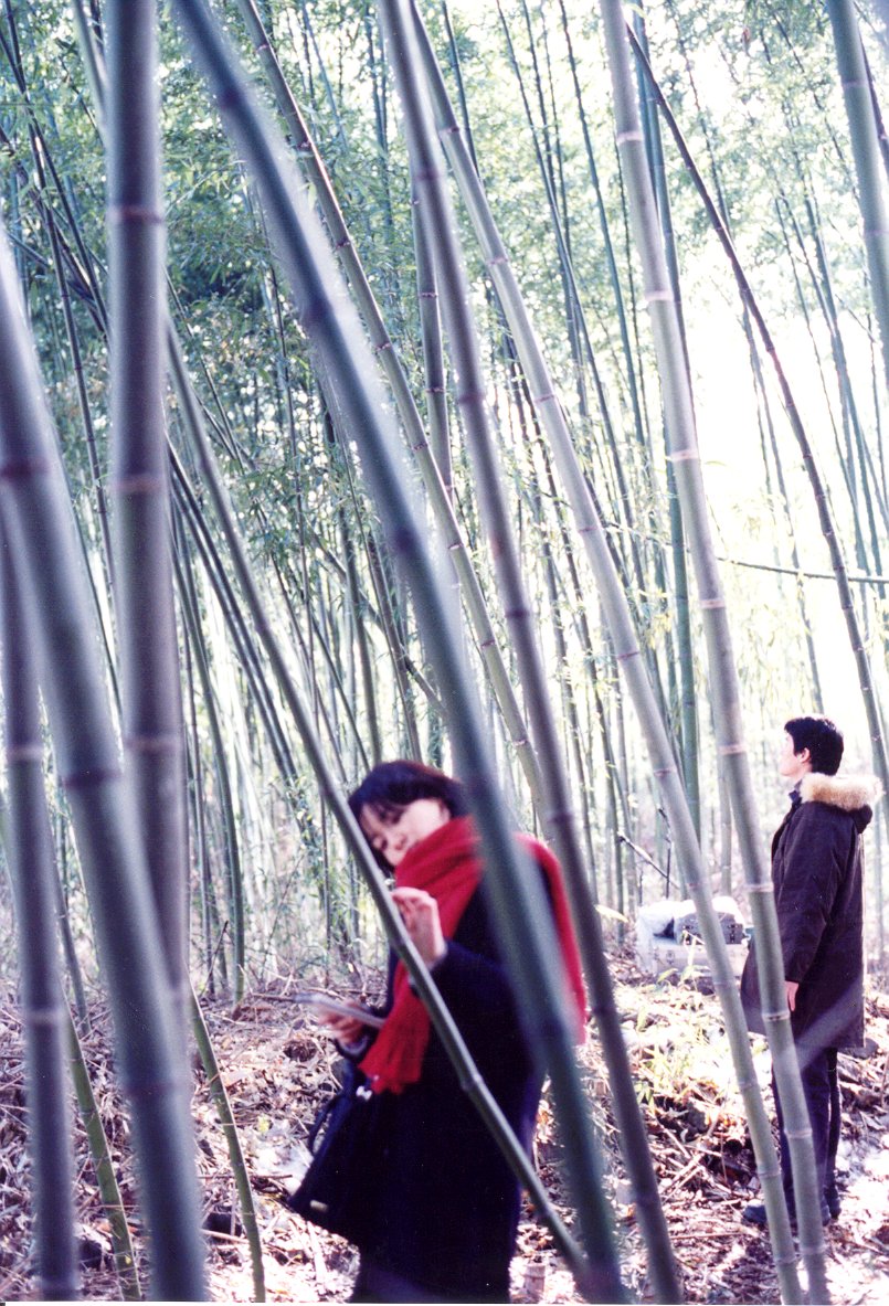 春逝剧照的剧照