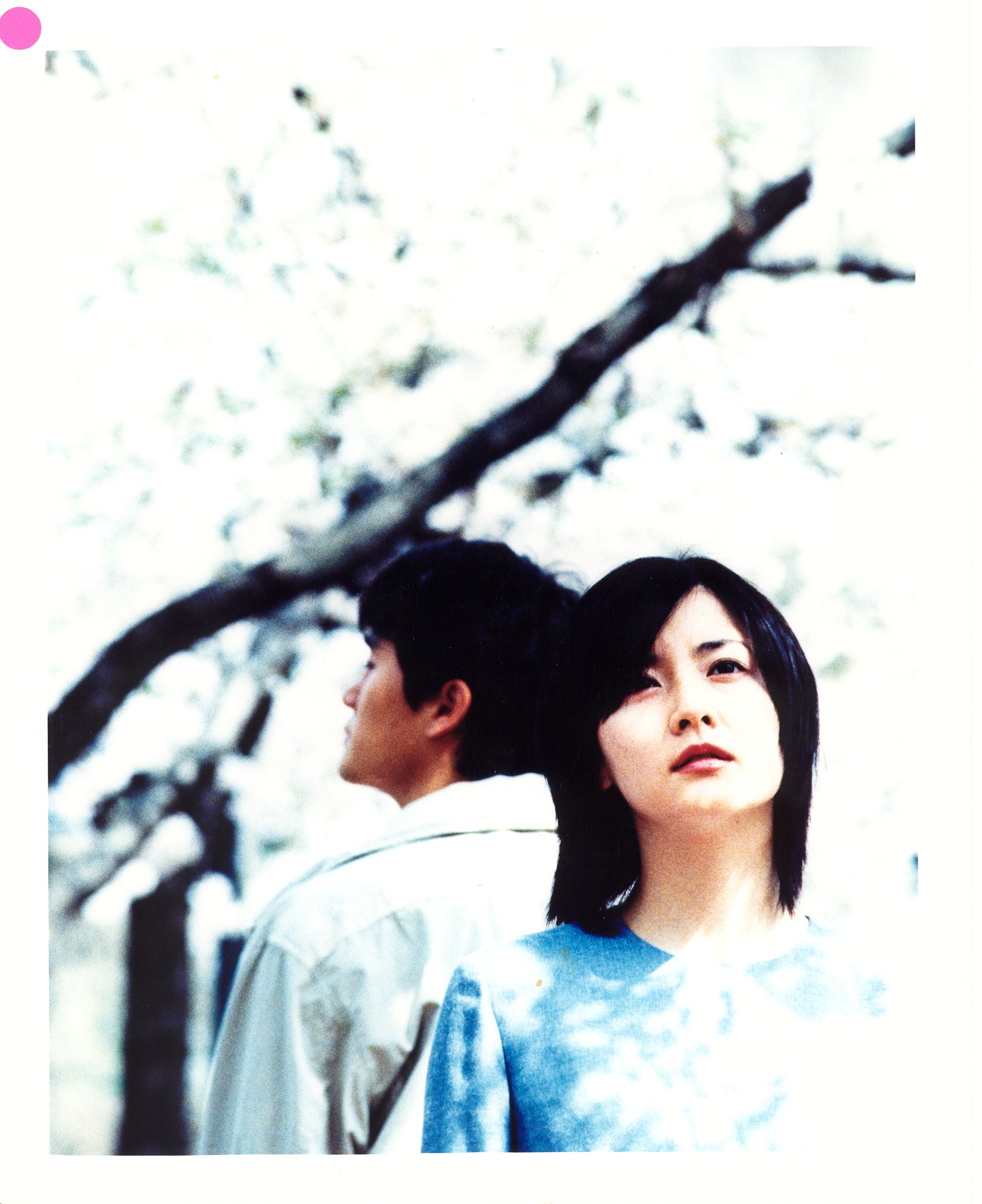 春逝剧照的剧照