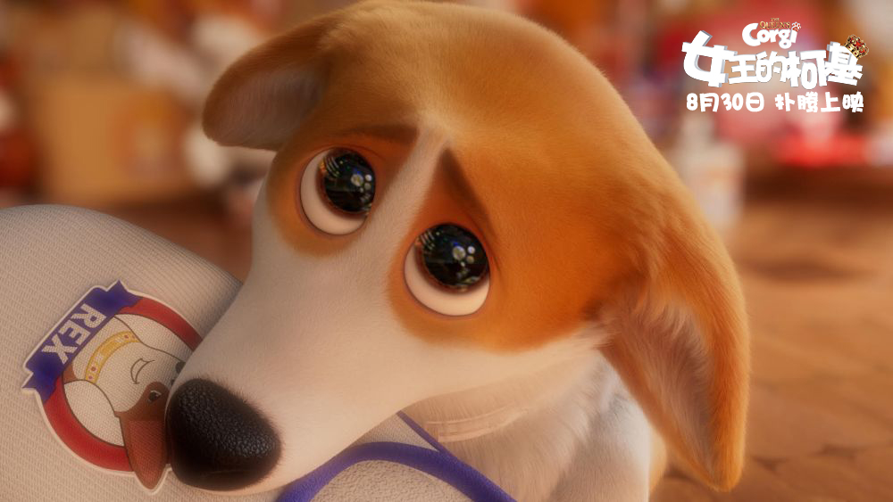 女王的柯基剧照的剧照
