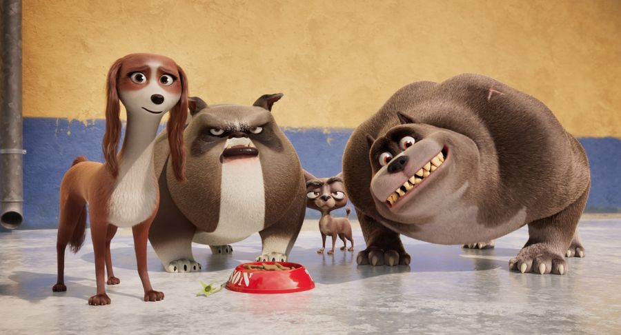 女王的柯基剧照的剧照