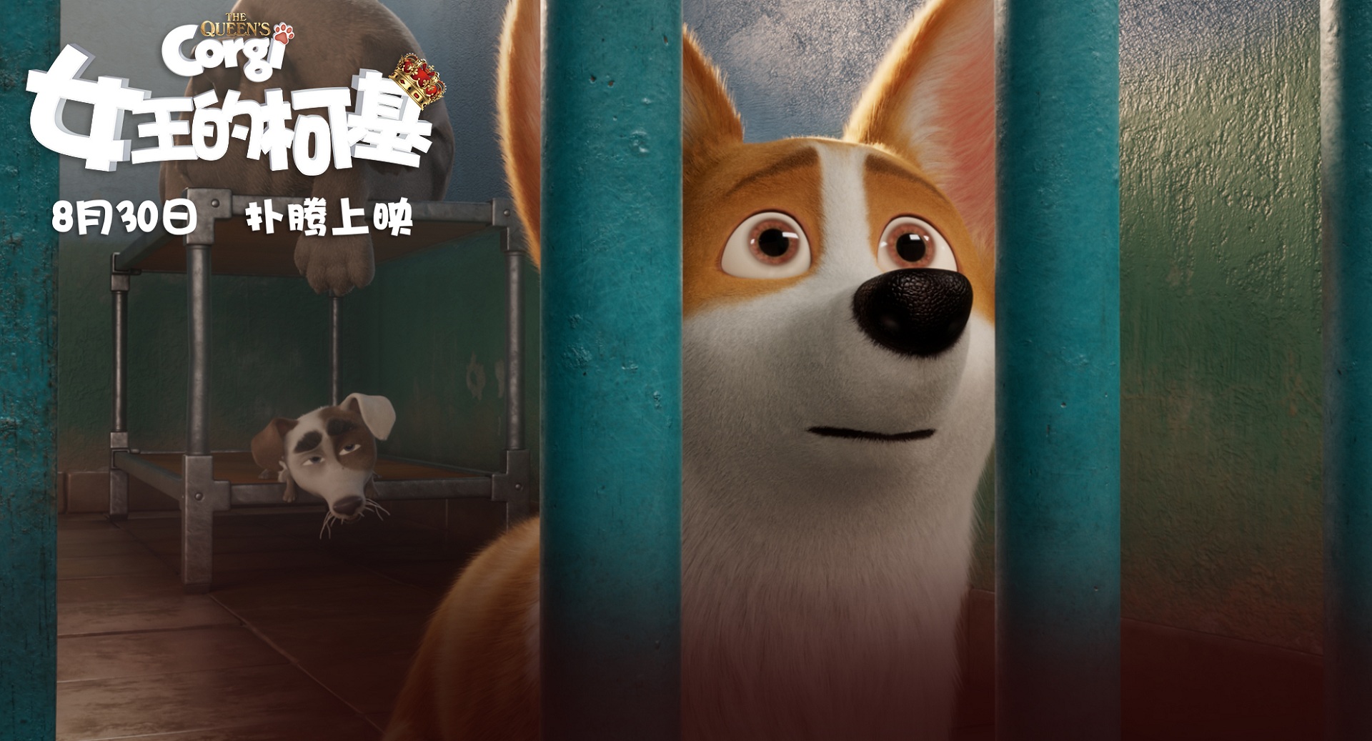 女王的柯基剧照的剧照