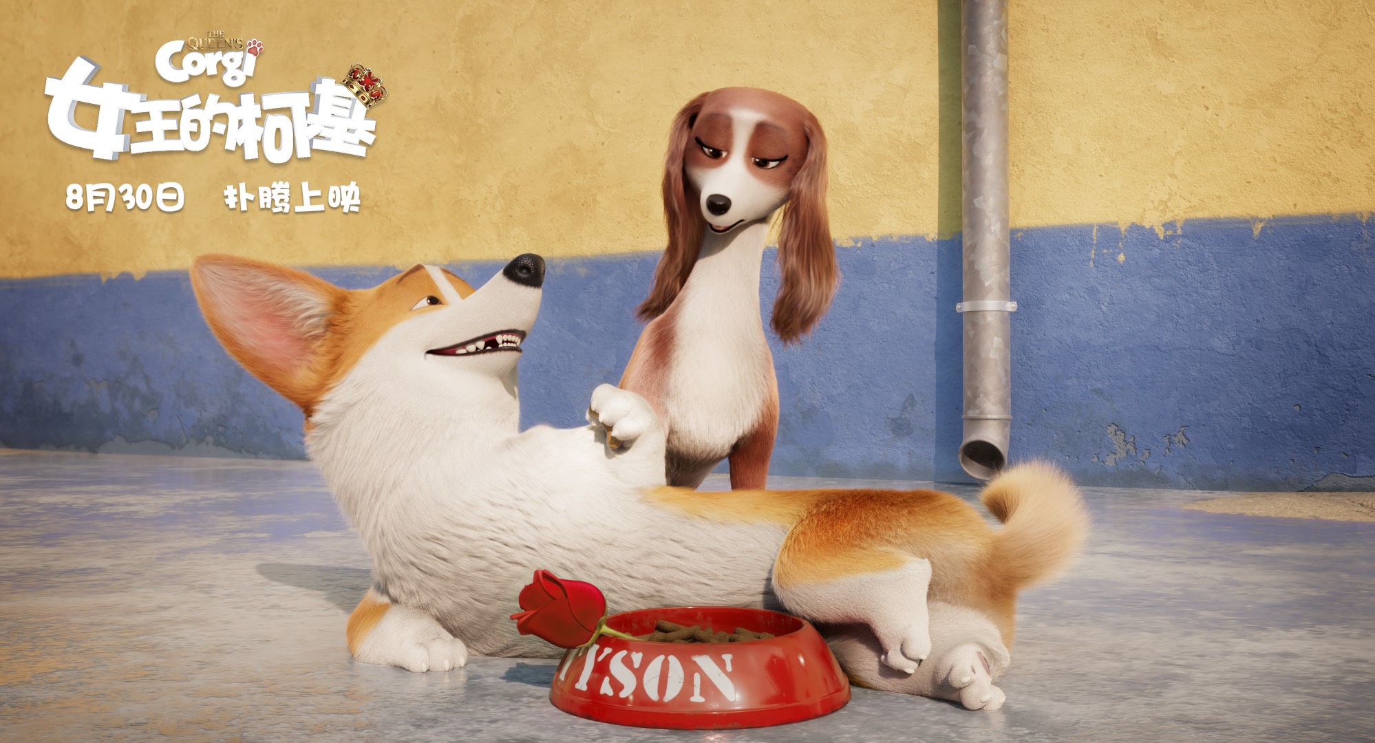 女王的柯基剧照的剧照