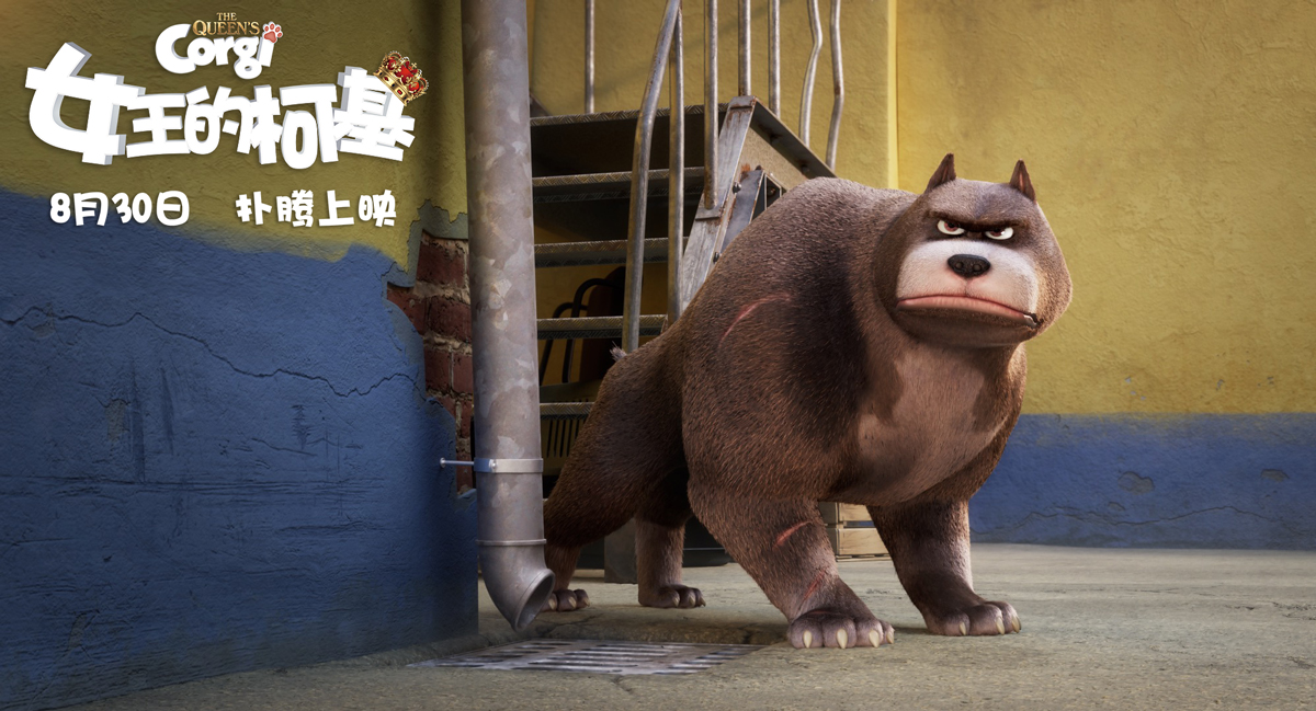 女王的柯基剧照的剧照