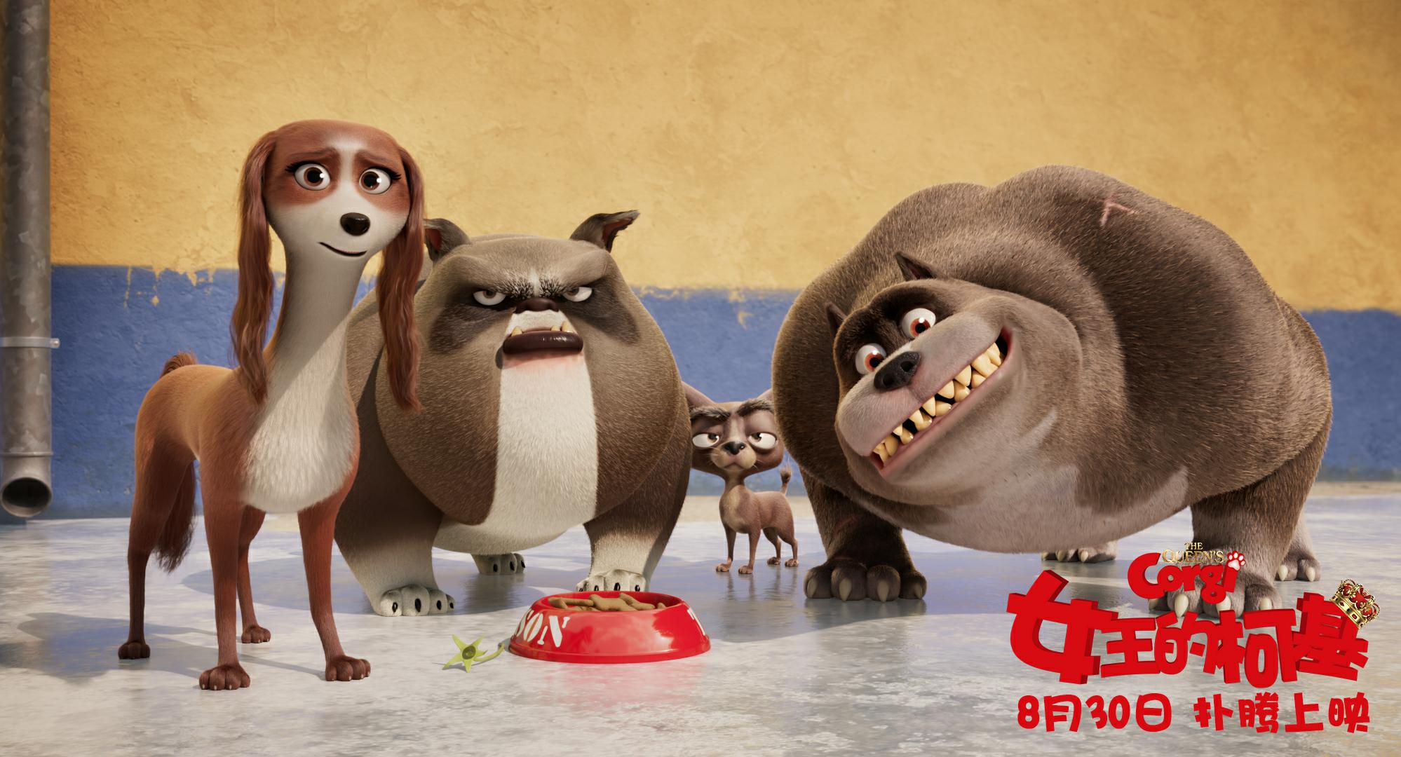 女王的柯基剧照的剧照