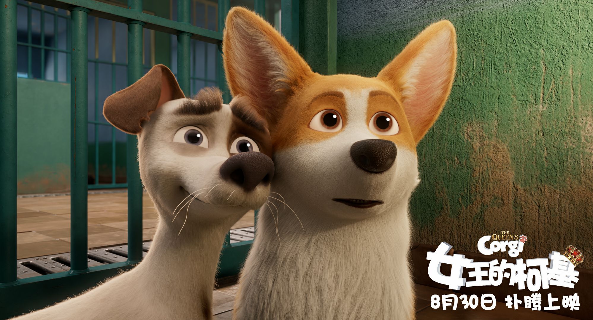 女王的柯基剧照的剧照