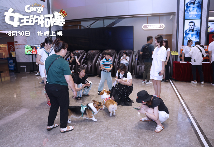 女王的柯基剧照的剧照