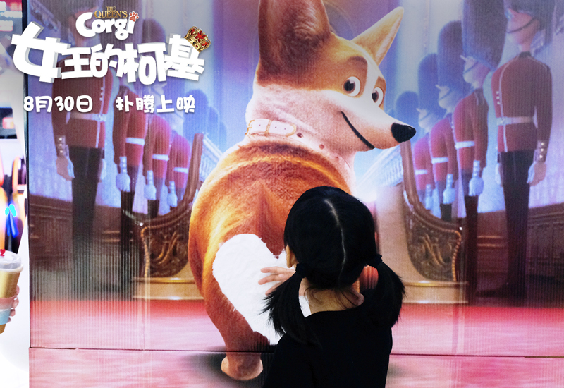 女王的柯基剧照的剧照