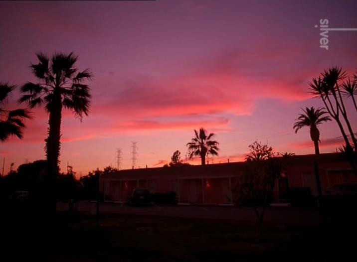 风滚草剧照的剧照