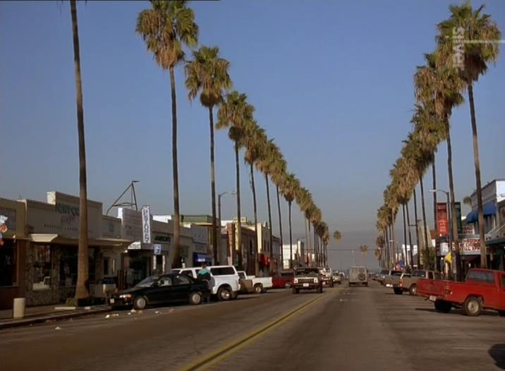 风滚草剧照的剧照