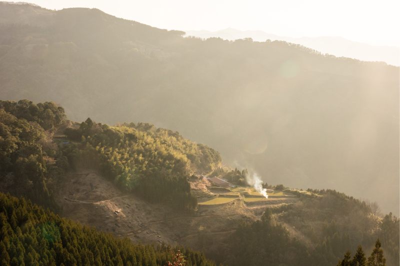 肥皂泡剧照的剧照