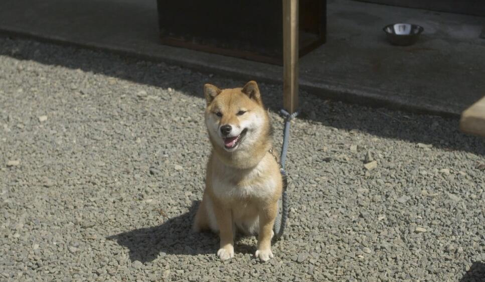 肥皂泡剧照的剧照