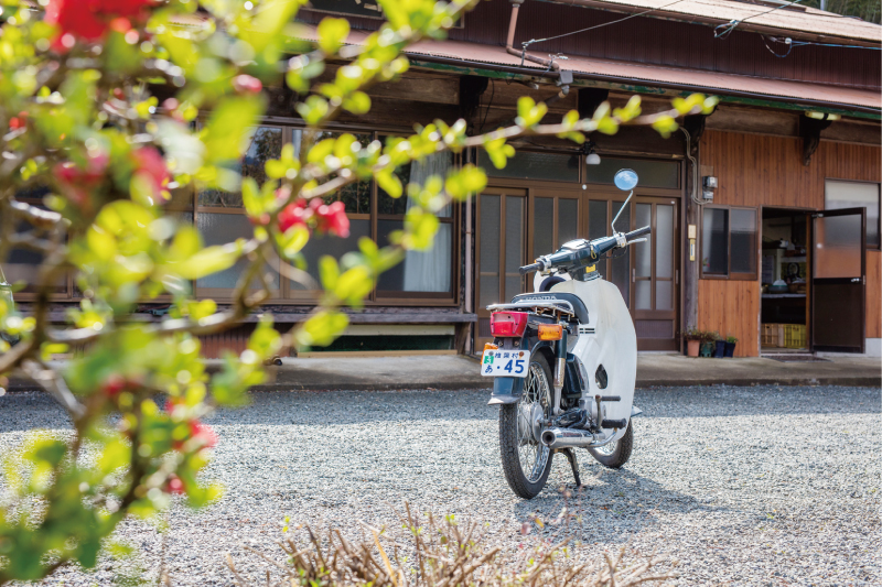 肥皂泡剧照的剧照