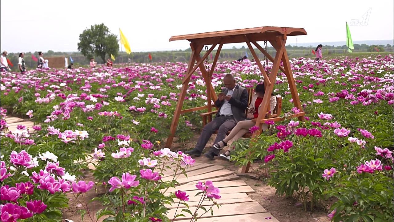 光棍儿：中国结不了婚的男人们剧照的剧照