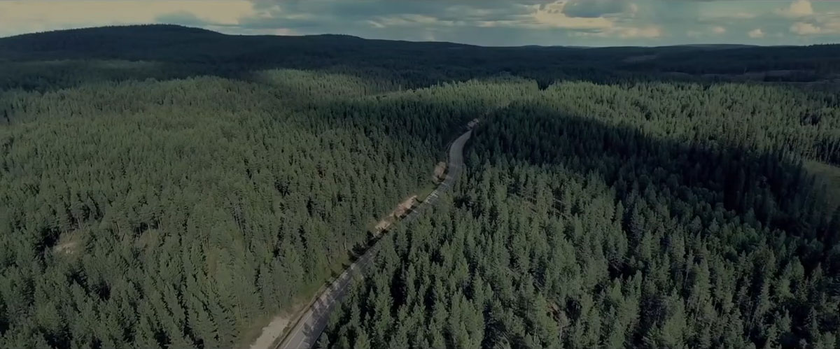 西伯利亚剧照的剧照