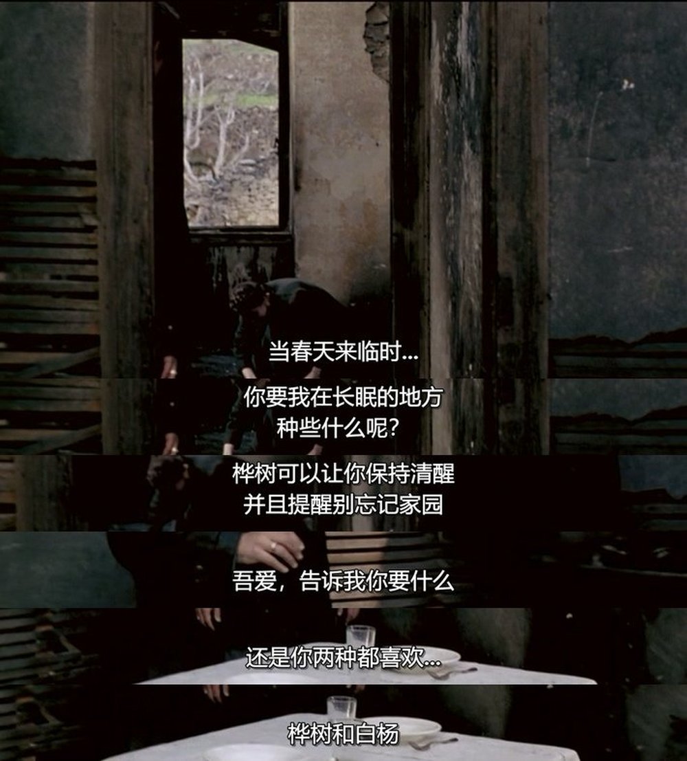 尤里西斯的凝视剧照的剧照