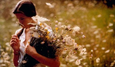 偷香剧照的剧照