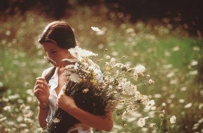 偷香剧照的剧照