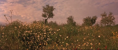 偷香剧照的剧照