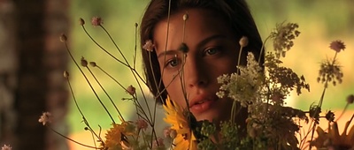 偷香剧照的剧照