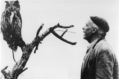 圣洁无辜的人剧照的剧照