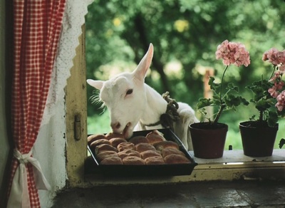 森林边缘的寂寞剧照的剧照