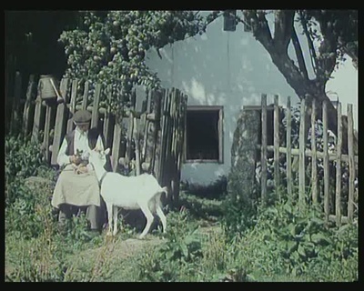 森林边缘的寂寞剧照的剧照