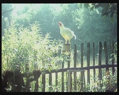 森林边缘的寂寞剧照的剧照