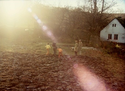 森林边缘的寂寞剧照的剧照