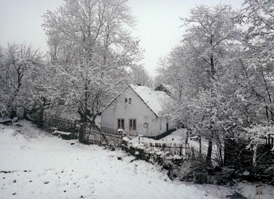 森林边缘的寂寞剧照的剧照