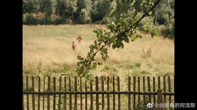 森林边缘的寂寞剧照的剧照