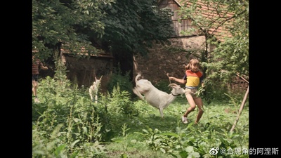 森林边缘的寂寞剧照的剧照