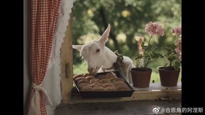 森林边缘的寂寞剧照的剧照