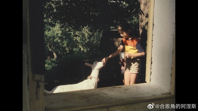 森林边缘的寂寞剧照的剧照