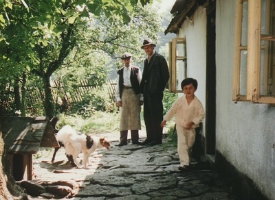 森林边缘的寂寞剧照的剧照