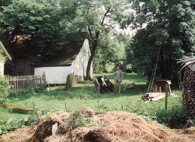 森林边缘的寂寞剧照的剧照
