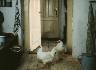 森林边缘的寂寞剧照的剧照