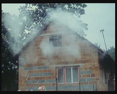 森林边缘的寂寞剧照的剧照