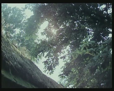 森林边缘的寂寞剧照的剧照