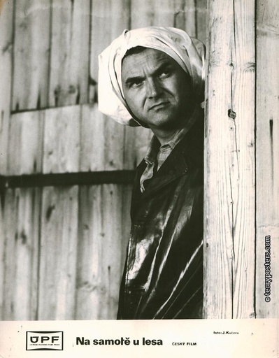 森林边缘的寂寞剧照的剧照