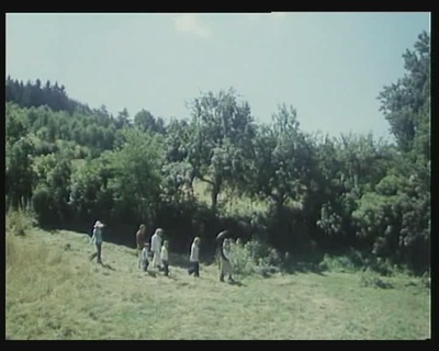 森林边缘的寂寞剧照的剧照