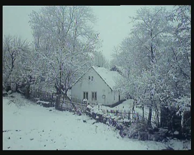 森林边缘的寂寞剧照的剧照