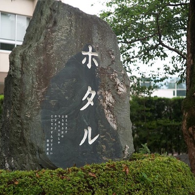 萤火虫剧照的剧照