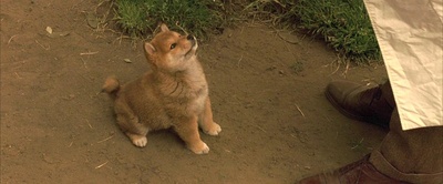 永远的三丁目的夕阳2剧照的剧照