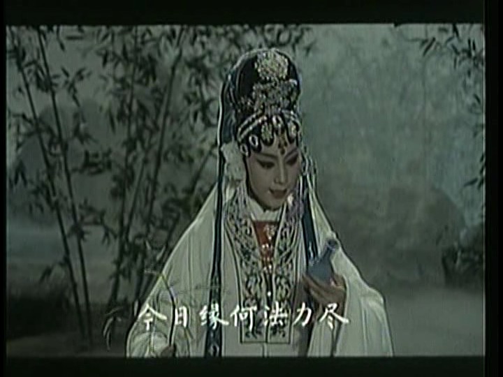 真假美猴王剧照的剧照