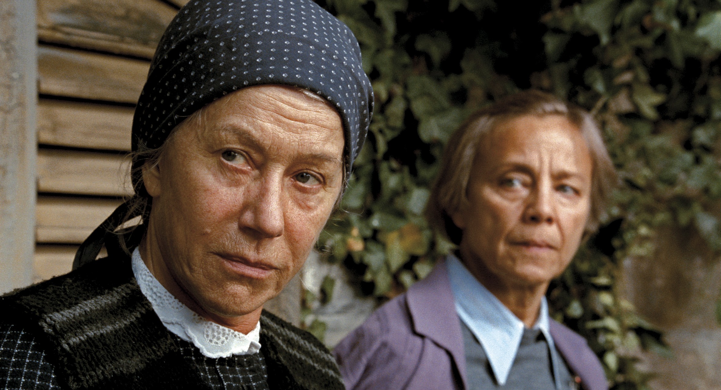 大门剧照的剧照