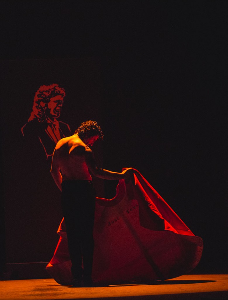 莎拉·巴拉斯：弗朗明哥的呼唤剧照的剧照