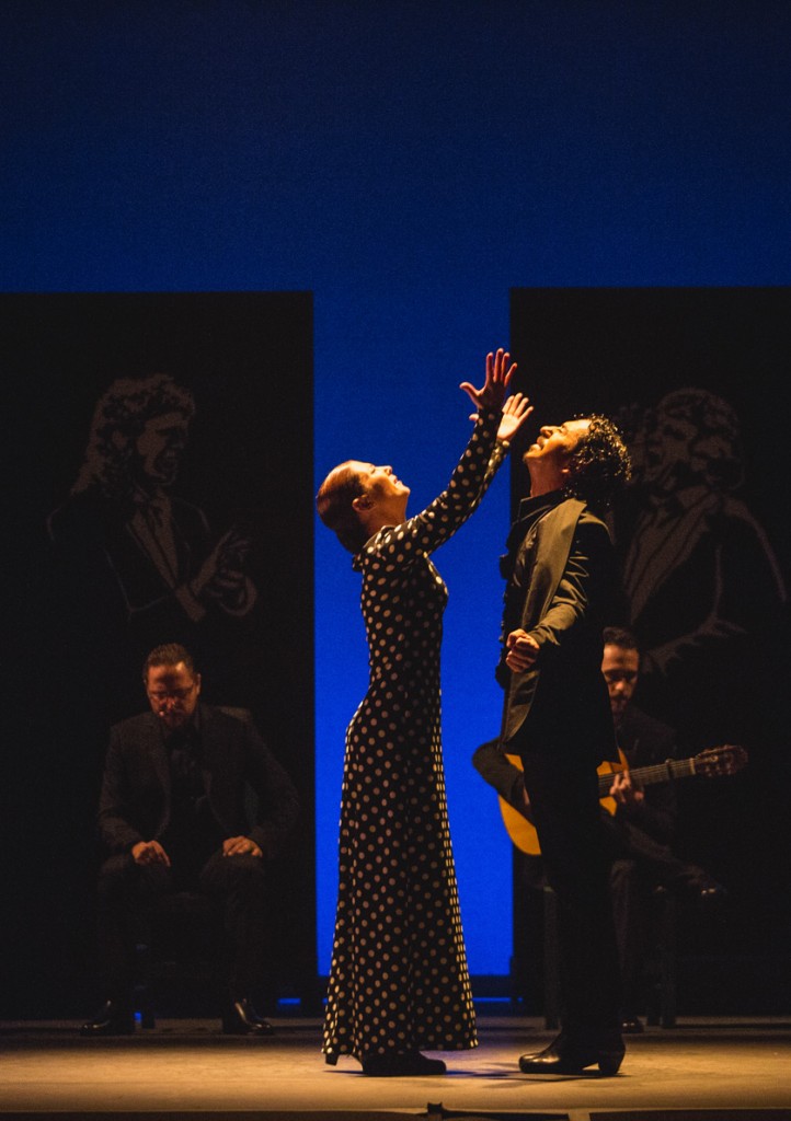 莎拉·巴拉斯：弗朗明哥的呼唤剧照的剧照